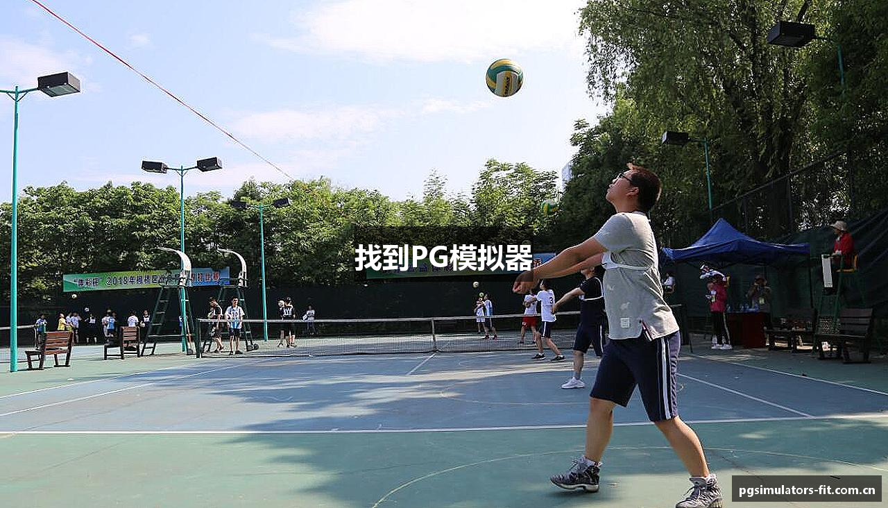 找到PG模拟器