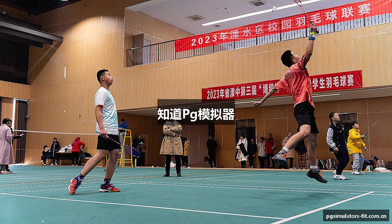 知道Pg模拟器